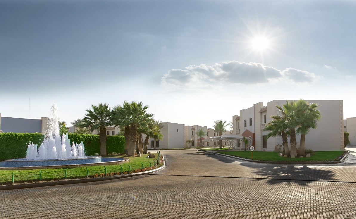 Vives Compound project