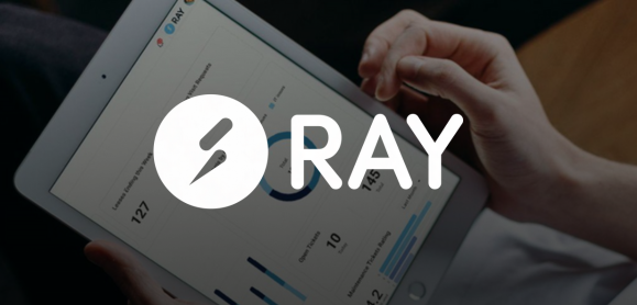 RAY Labs